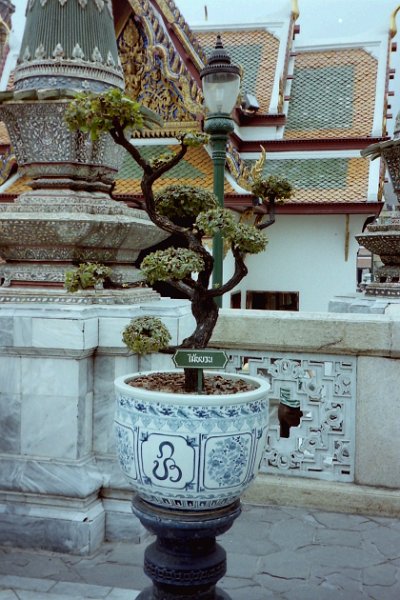 Thailand 2001-BcKP218.JPG